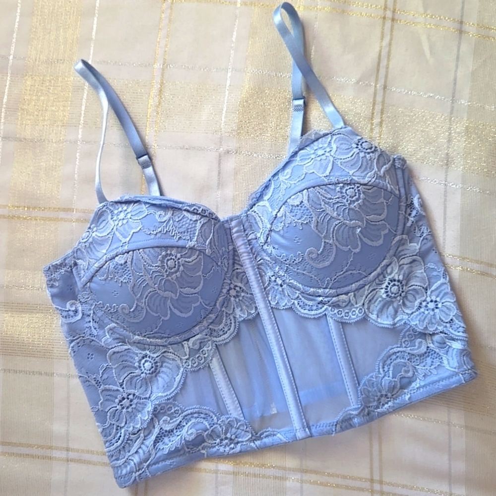 Say What? Blue Lace Corset